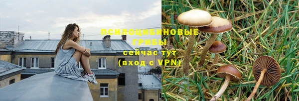 винт Белокуриха
