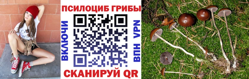 мега зеркало  наркота  Завитинск  Псилоцибиновые грибы мицелий 